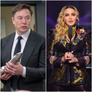 🔴 Elon Musk’s Billion-Dollar Ultimatum to Madonna — Her Five-Word Response Stuns the World nango