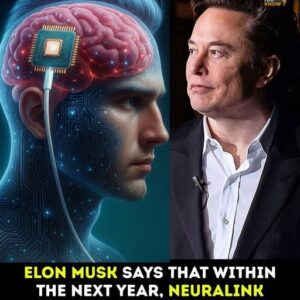 Neuralink’s Brain Chip Could Restore Sight to the Blind — Even From Birth