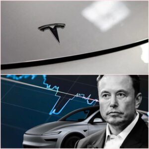Tesla asks court to throw out fatal Autopilot crash verdict