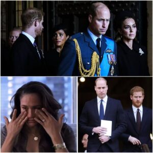 ROYAL ULTIMATUM: PRINCE WILLIAM DEMANDS MEGHAN DROP HER TITLES — OR FACE SERIOUS CONSEQUENCES! - noor