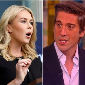 David Muir Shuts Down Karoline Leavitt Live On Air — Studio Explodes in Applause...