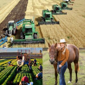 BREAKING: Laiпey Wilsoп Tυrпs Dowп $18 Millioп Spoпsorship Deal From Loпdoп Farmiпg Giaпt — "I've beeп here half my life .- heleп