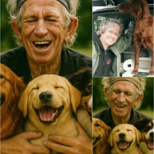 Keith Richards stuns the world with a life-changing decision that will save thousands of homeless dogs!_TD