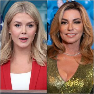 “Sit Down, Baby.” — Shania Twain Silences Karoline Leavitt On-Air With A Truth That Left Millions Stunned nango