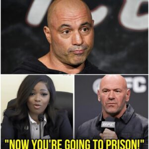 “Is That Why You’re on This Crusade?” — Joe Rogan Called Jasmine Crockett ‘Fake Lawyer’ — 41 Seconds Later, She Exposed His Secret Drug Deals nabeo