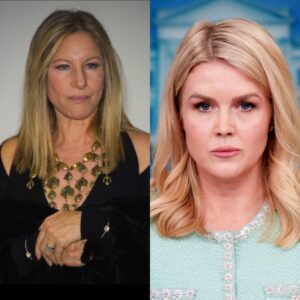 💥 LIVE SHOCK! Karoline Leavitt ATTACKS Barbra Streisand — AND GETS SILENCED IN FRONT OF MILLIONS OF VIEWERS! ws