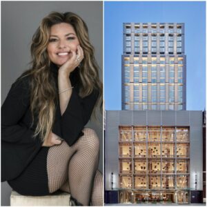 CHARGED AND EVICTED FROM A LUXURY HOTEL, SHANIA TWAIN RETURNS THE NEXT DAY — NOT TO REFLECT, BUT TO… nango