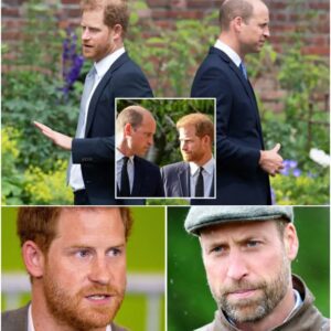 Royal Rift Deepens: William Reportedly Furious Over Harry’s Demands Involving Meghan — Threatens to Strip Her Title, While Harry Begs for “One More Chance” - noor