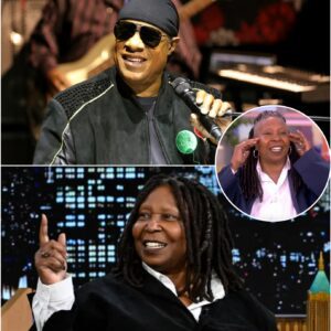 “THIS ISN’T OVER.” — STEVIE WONDER JUST DROPPED A BOMBSHELL THAT COULD SHUT DOWN THE VIEW FOREVER nango