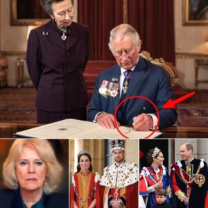 JUST IN: Palace SH0CKER as King Charles & Princess Anne Secretly Sign Royal Decree โ Queen Camilla OUT, Catherine Thrust Into Power!