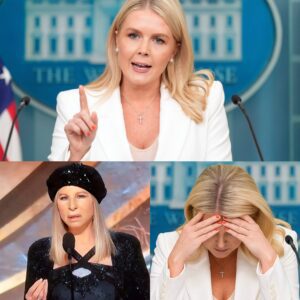 🚨 Karoline Leavitt UNLOADS on Barbra Streisand LIVE — And Instantly Regrets It! 🚨 ws