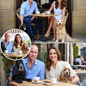 Not all royal scandals happen at Buckingham Palace… some happen at the dog café. Witnesses confirm that Camilla’s dogs and Kate & William’s pups