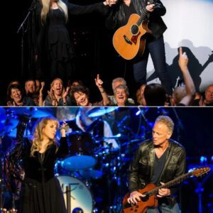 Stevie’s fingers trembled as the first notes of Landslide rang through the arena. Across the stage, Lindsey’s eyes found hers—haunted, hesitant, but locked in memory_cz