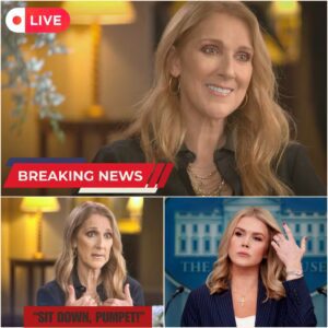 “Sit Down, Puppet”: Celine Dion Shuts Down Karoline Leavitt in Live-TV Clash That Left a Studio Stunned
