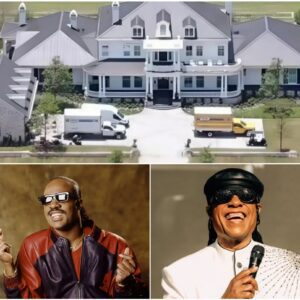 Stevie Wonder Transforms London Townhouse Into $3.2 Million Recovery Shelter: From Hardship to Hope nn