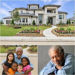 MORGAN FREEMAN JUST DROPPED A BOMBSHELL THAT HAS FANS DEMANDING: โWHAT SECRET IS HE HIDING?โ
