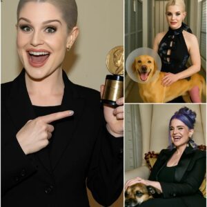 BREAKING GOOD NEWS: Kelly Osbourne Pledges $10 Million to Build a “Forever Paradise” for Abandoned Dogs and Cats nh