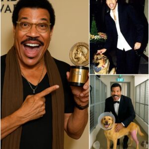 BREAKING GOOD NEWS: Lionel Richie Pledges $10 Million to Build a “Forever Paradise” for Abandoned Dogs and Cats nh