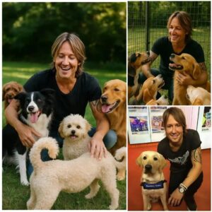 BREAKING NEWS: From Stage Lights to Shelter Lights — Keith Urban Pledges $20 Million to Build a Safe Haven for Stray Dogs nh