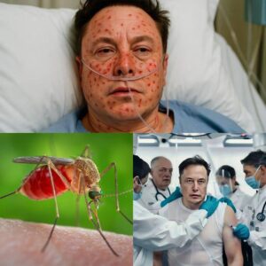 HEARTBREAKING NEWS: Tesla & SpaceX CEO Elon Musk Rushed to Hospital With ‘Severe’ Illness — Doctors Admit They’ve Never Seen a Case Like This Before…