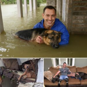 Prosthetic Legs Of Fox News’ Johnny Joey Jones Create A Miracle In Texas – At Least 20 Abandoned Pets Rescued From Devastating Floodwaters And Brought To Safety Thanks To