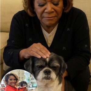 During a quiet morning at her countryside retreat, Patti LaBelle faced one of the hardest goodbyes of her life — not to a stage spotlight or a fellow musician, but to the dog who had followed her faithfully through rehearsals, midnight kitchens, and long days away from the roar of the crowd.