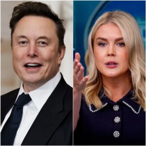 “The Future Doesn’t Wait for Your Permission”: Elon Musk Stuns Live TV with Seven Words