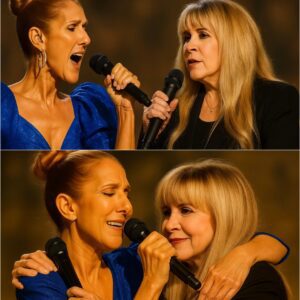 Stevie Nicks’s Fragile Return in Wheelchair With Celine Dion by His Side Turns ‘Sweet Caroline’ Into a Tearful Prayer That Became Music’s Eternal Farewell_cz