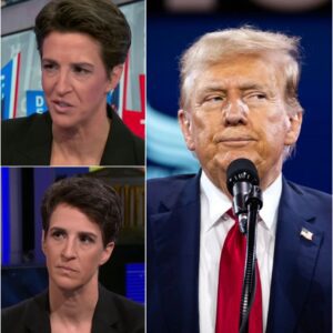 ‘That’s who you guys picked, regret now!??’: Rachel Maddow blasts GOP's hypocrisy of backing Trump.