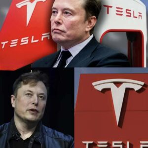 Wedbush’s Dan Ives on Sam Altman’s Identity Startup ‘World’ and Elon Musk’s New Tesla Pay Plan