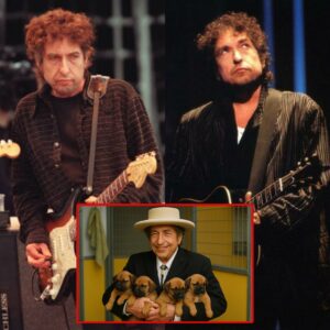 SHOCKING REVELATION: Bob Dylan Donates $20 MILLION to Build a “Heaven on Earth” for Abandoned Dogs 🐾🎸 ws