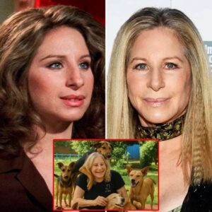 SHOCKING REVELATION: Barbra Streisand Donates $20 MILLION to Build a “Heaven on Earth” for Abandoned Dogs 🐾🎶 ws
