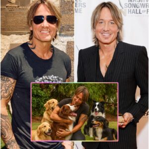 SHOCKING REVELATION: Keith Urban just pledged $20 MILLION to create a “heaven on earth” for abandoned dogs — a massive sanctuary promising love, care, and forever homes for thousands of strays nh