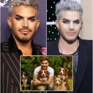 SHOCKING REVELATION: Adam Lambert just pledged $20 MILLION to create a “heaven on earth” for abandoned dogs — a massive sanctuary promising love, care, and forever homes for thousands of strays nh