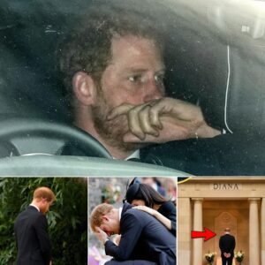 “MUMMY, MISS YOU” – Prince Harry Makes SECRET VISIT to Princess Diana’s Grave on 28th Anniversary of Her D.ea/th – Heartbreaking Moment Moves Million Into Tears...ishar