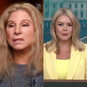 SHOCK ON LIVE! Karoline Leavitt ATTACKS Barbra Streisand — AND GETS “DESTROYED” IN FRONT OF MILLIONS! 🎤 ws