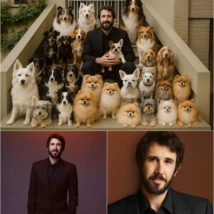 In a heartfelt move that has fans cheering and animal lovers in tears, Josh Groban has pledged $20 million to build a massive sanctuary for stray and abandoned dogs — a place filled with care, compassion, and second chances_cz