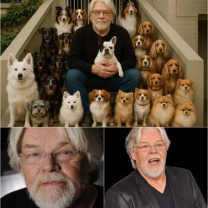 In a heartfelt move that has fans cheering and animal lovers in tears, Bob Seger has pledged $20 million to build a massive sanctuary for stray and abandoned dogs — a place filled with care, compassion, and second chances_cz