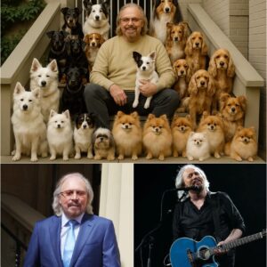 In a heartfelt move that has fans cheering and animal lovers in tears, Barry Gibb has pledged $20 million to build a massive sanctuary for stray and abandoned dogs — a place filled with care, compassion, and second chances_cz