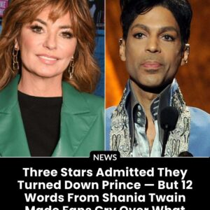 Three Stars Who Turned Down Prince — and the 12 Words From Shania Twain That Left Fans Mourning a Lost Collaboration nn