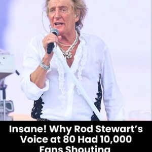Rod Stewart is 80, but his voice hasn’t lost its magic. At a stunning concert, 10,000 fans screamed his name — here’s why it mattered.