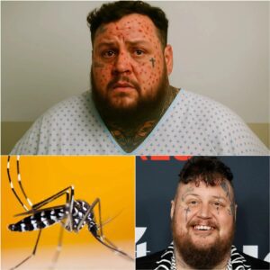 HEARTBREAKING NEWS: Jelly Roll Rushed to Hospital With Severe Illness — Fans in Shock...