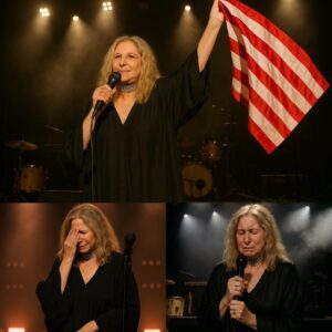 Last night in Nashville, Barbra Streisand created a moment so moving it left the entire stadium in breathless silence. ws