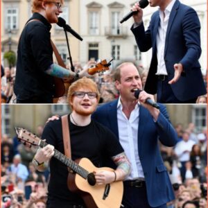 The Crowd Fell Silent As Prince William Walked Onto The Windsor Castle Stage Beside Ed Sheeran