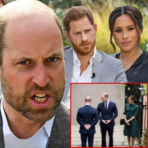 Royal Power Struggle Erupts: Prince Harry and Meghan Markle Reportedly Terrified After Prince William Unleashes His Most Powerful and Unprecedented Move Against Them...