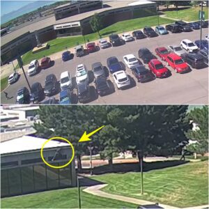 EXPOSED: Shocking footage captures the moment the suspect in Charlie Kirk's assassination escapes in the blink of an eye—leaving everyone wondering how he vanished without a trace