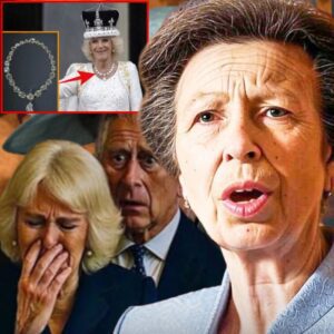Princess Anne’s Final Ultimatum: The Explosive Showdown With Queen Camilla Over the Late Queen’s Missing Jewels...ishar