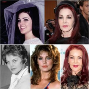 Priscilla Presley Is Now Almost 80 How She Lives Is Sad - LU