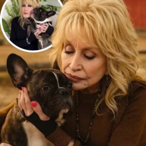 VERY SAD NEWS: Dolly Partoп Breaks Dowп iп Tears as She Says Goodbye to Her Beloved Dog...the1