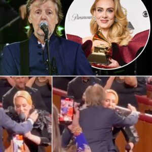 Vegas has seen its share of wild nights, but nothing like this. In the middle of her show, Adele suddenly stopped singing, her eyes locking on someone in the crowd.
